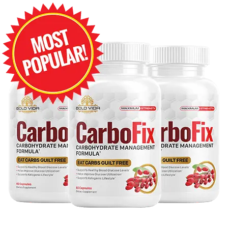 CarboFix official website